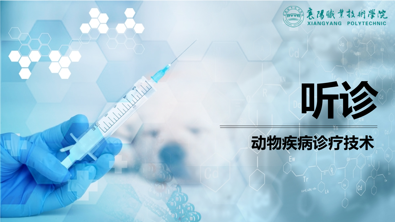 知识点3听诊