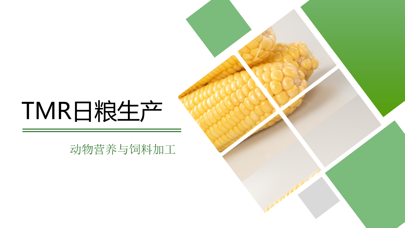 41.拓展学习：TMR日粮生产